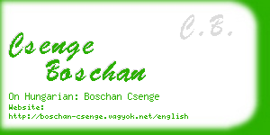 csenge boschan business card